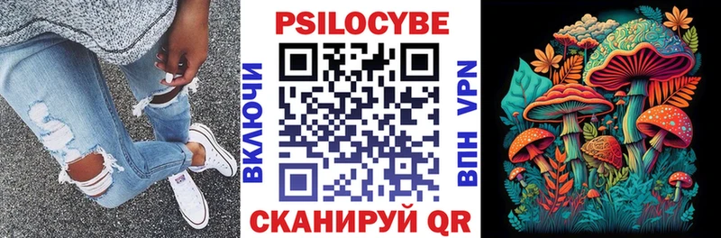 где можно купить наркотик Чистополь Галлюциногенные грибы мухоморы