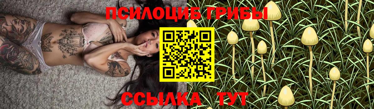 Чистополь  Галлюциногенные грибы GOLDEN TEACHER  Галлюциногенные грибы мицелий  Вход с VPN 