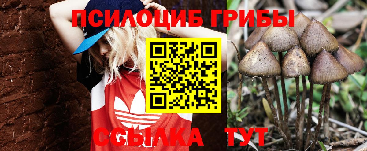 Галлюциногенные грибы ЛСД Чистополь